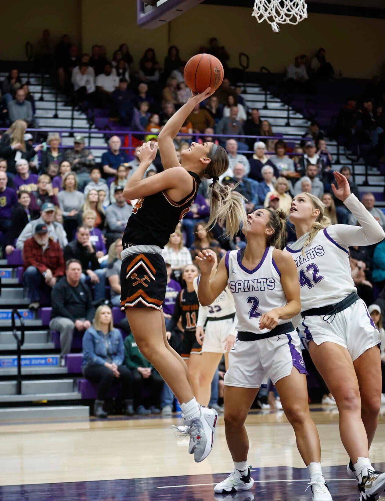 Tavia Rooney vs. Carroll